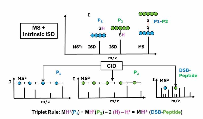 Figure 2.