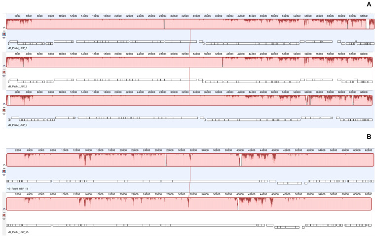 FIGURE 4