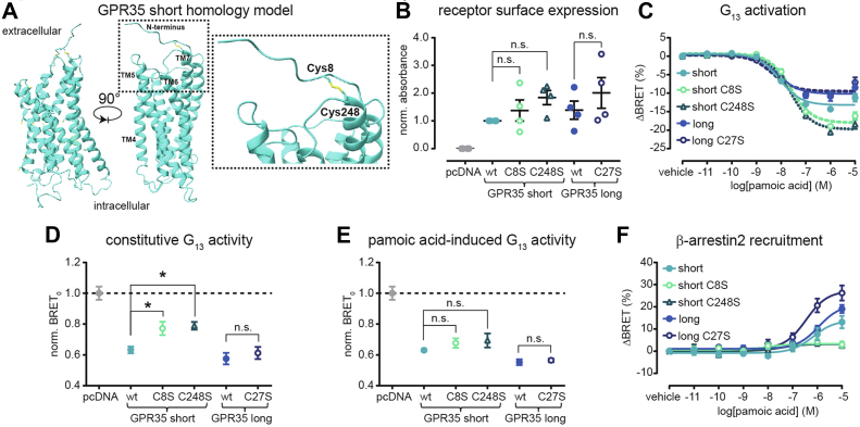 Figure 7