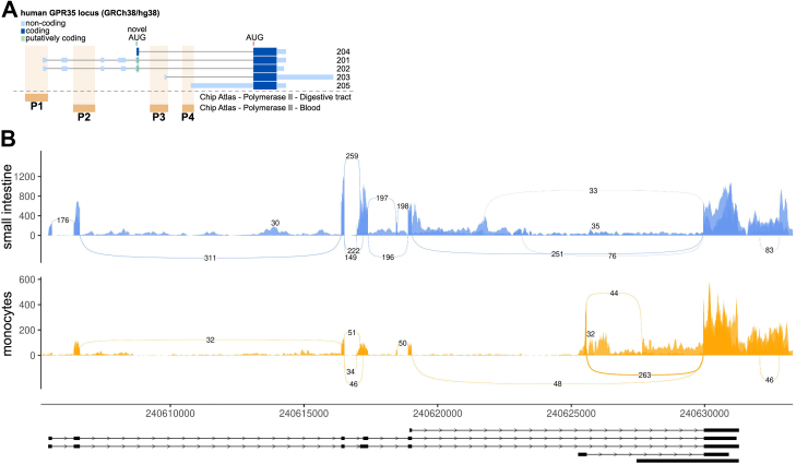 Figure 1