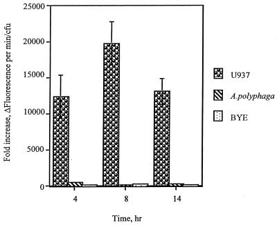 FIG. 7