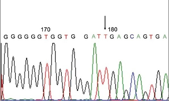 Figure 3b