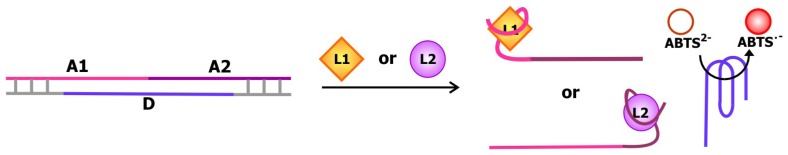 Figure 13.