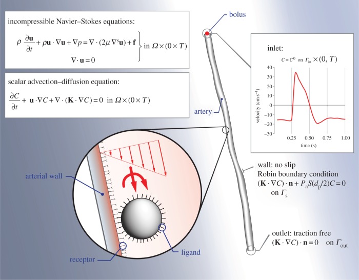 Figure 2.