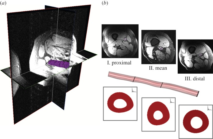 Figure 1.