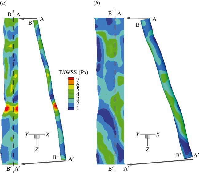 Figure 5.