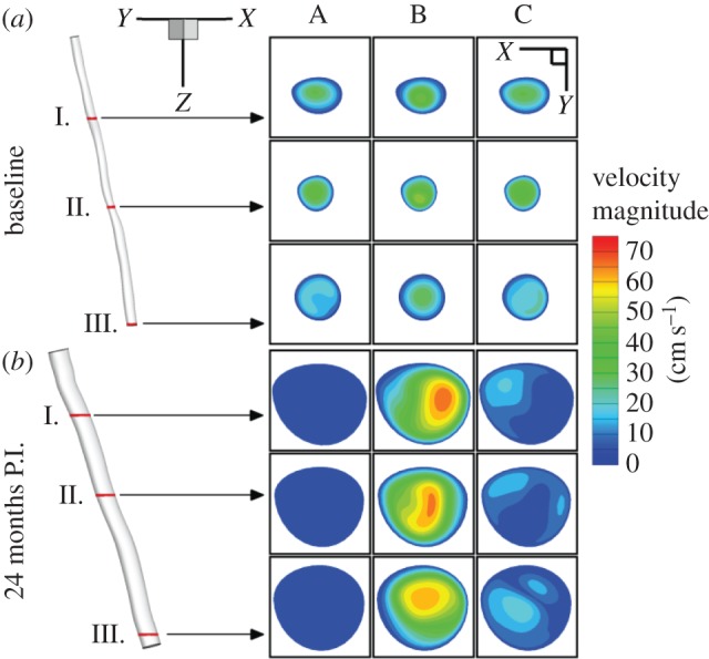 Figure 3.