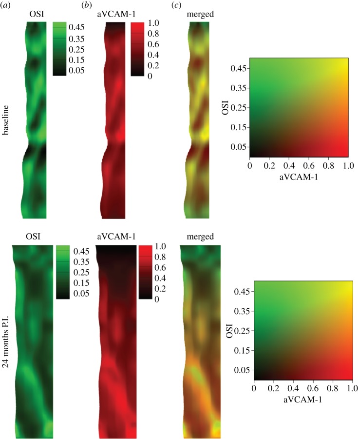 Figure 10.