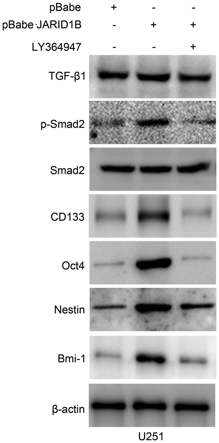 Figure 9