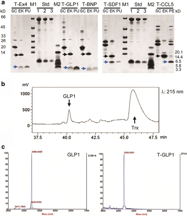 Fig. 3