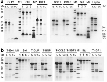 Fig. 2