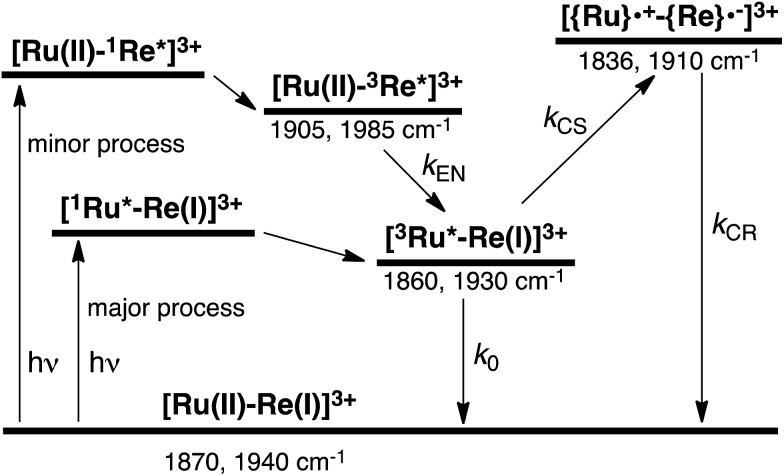 Scheme 4