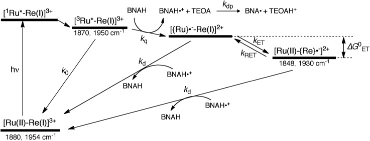 Scheme 3