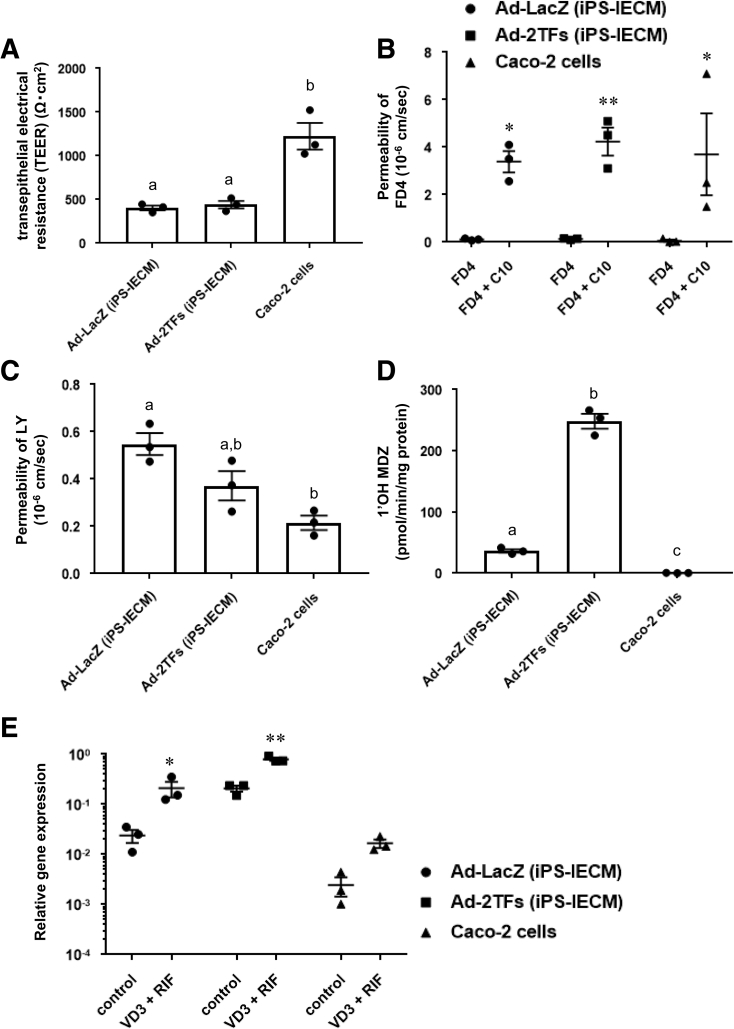 Figure 4