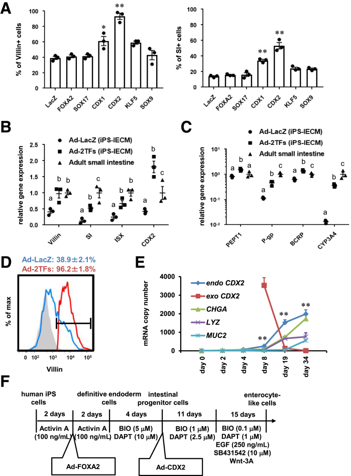 Figure 1