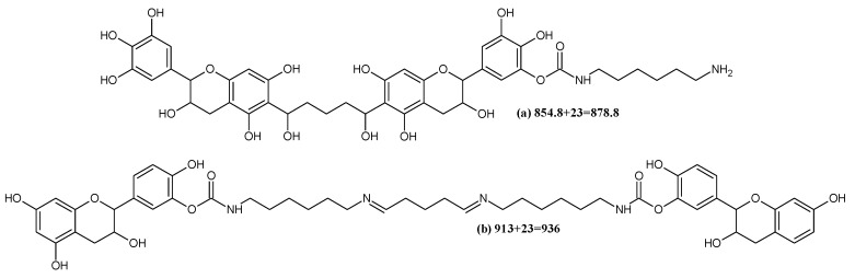 Scheme 5