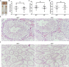 Supplementary Fig. S6