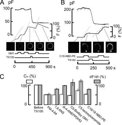 Figure 12.