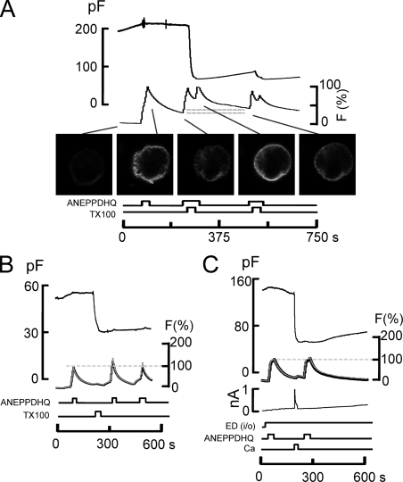 Figure 11.