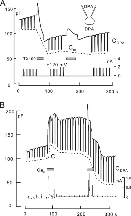 Figure 7.