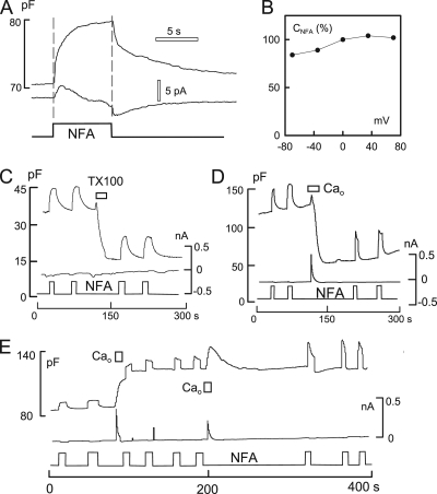 Figure 10.