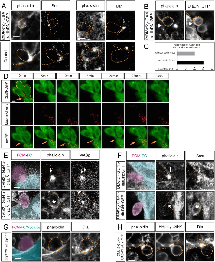 Fig 4