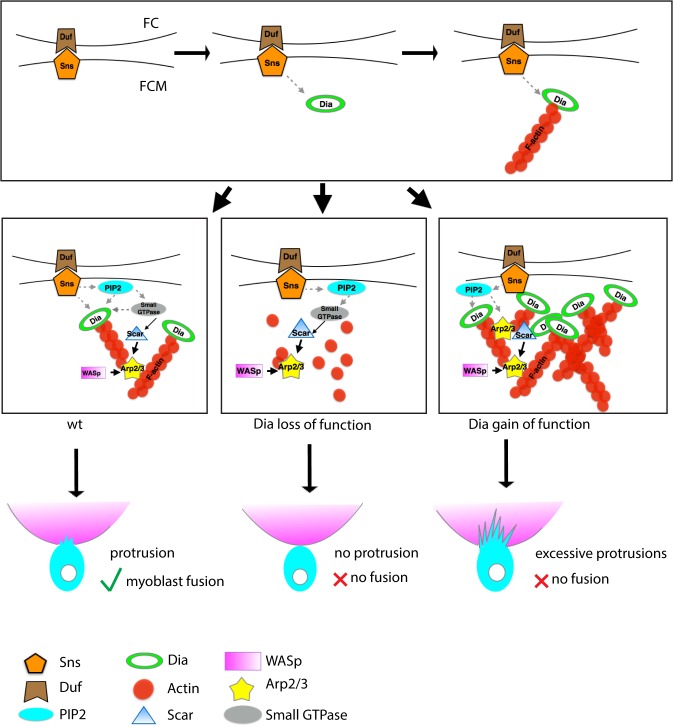 Fig 8