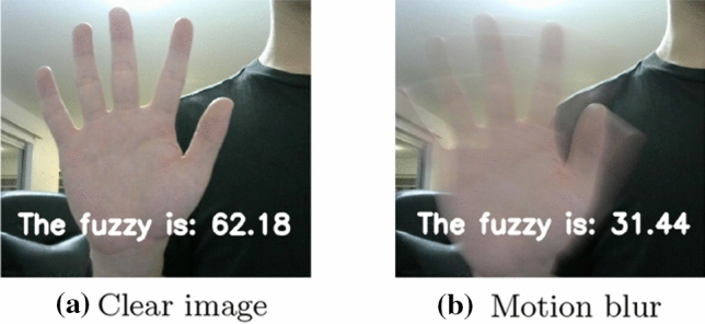 Fig. 5