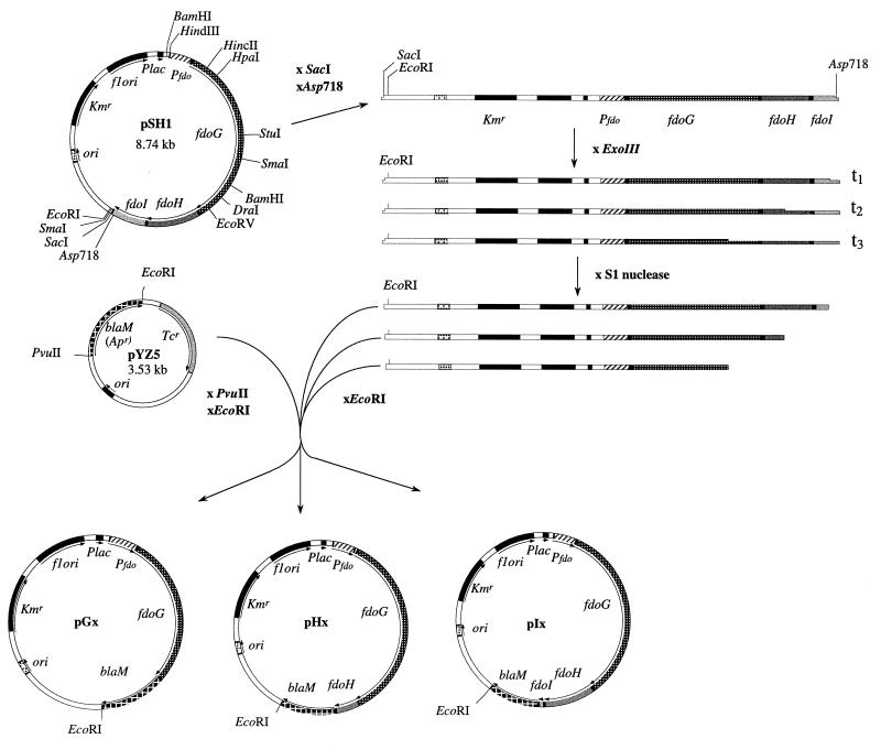 FIG. 1