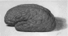 798-1