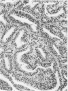 798-2
