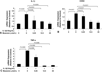 Fig. 2A–C