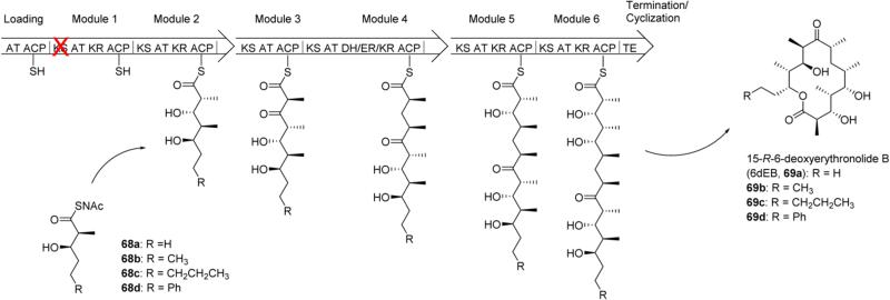 Scheme 9