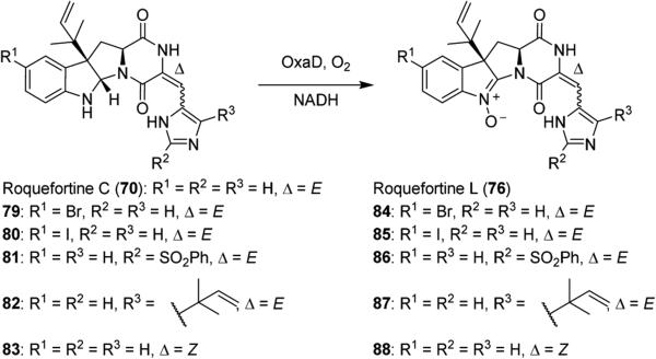 Scheme 12