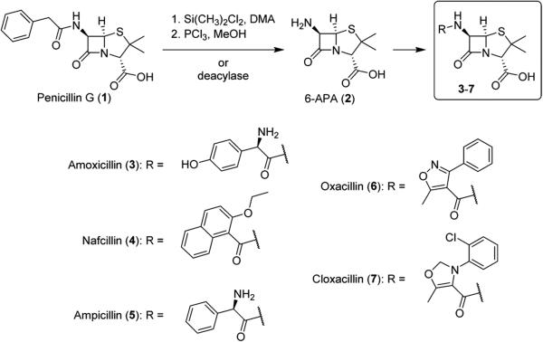 Scheme 1