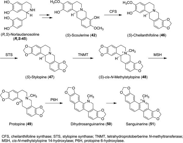 Scheme 6