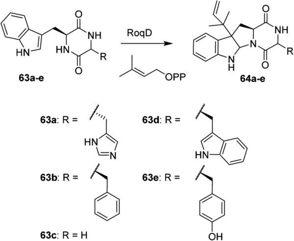 Scheme 8