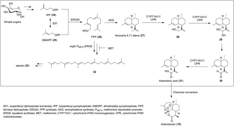 Scheme 4