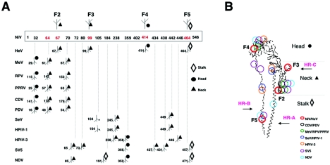 FIG. 7.