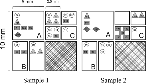 FIG. 2.