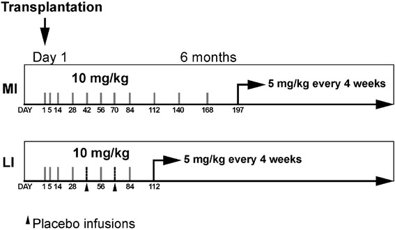 Fig. 1