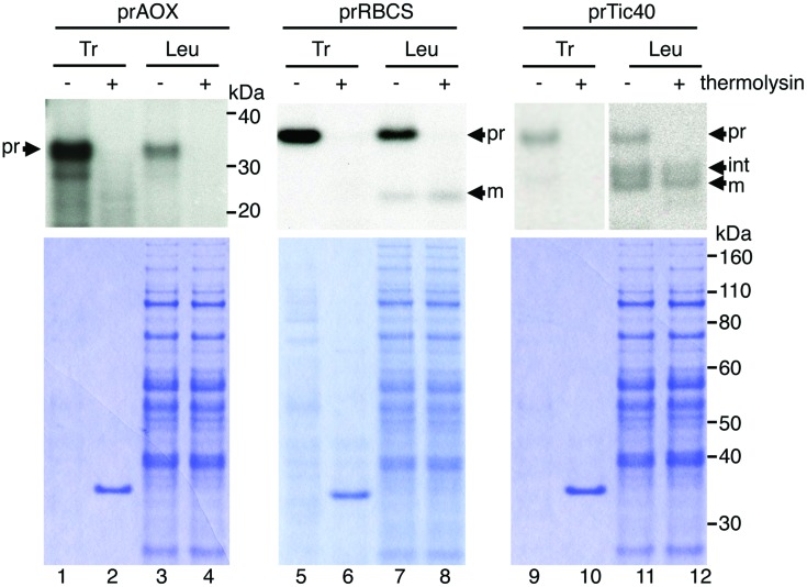 FIGURE 3