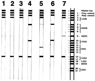 FIG. 1