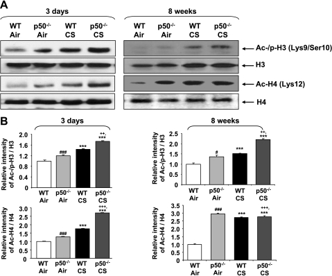 Fig. 10.