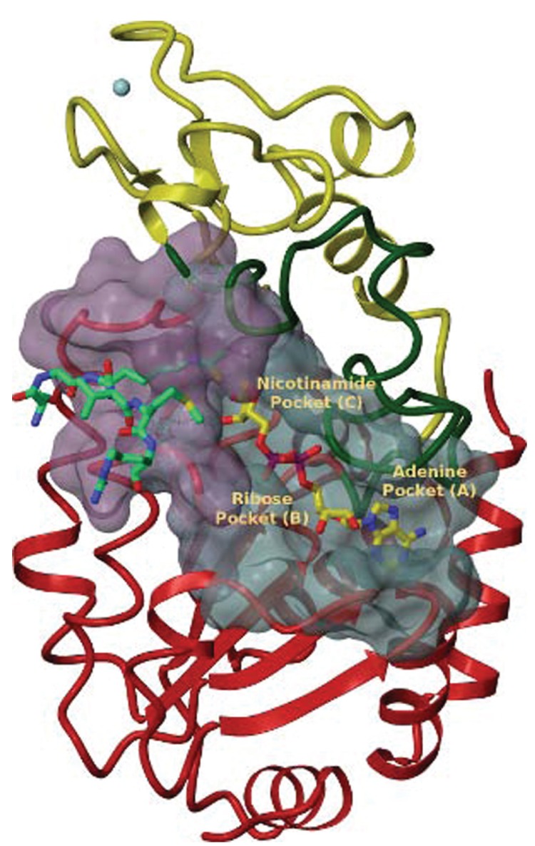 Fig. (1)