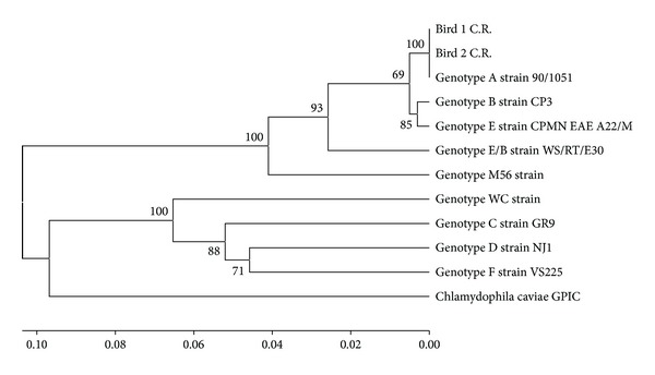 Figure 2