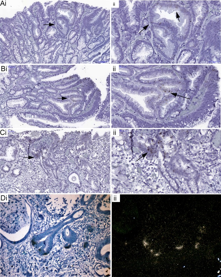 Figure 6