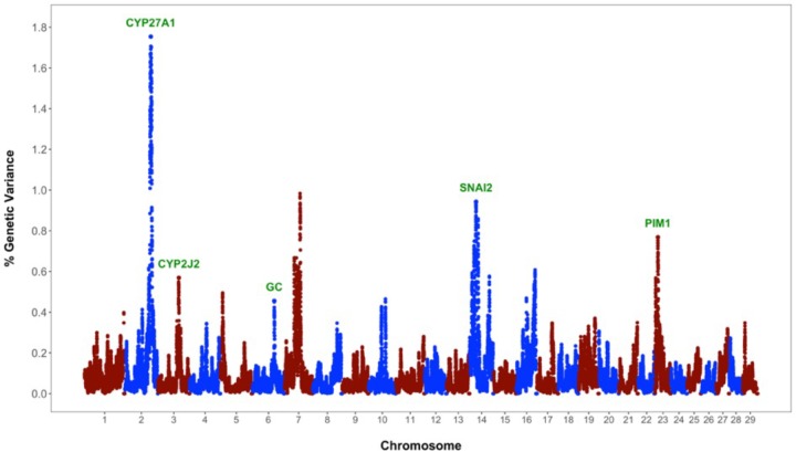 FIGURE 1