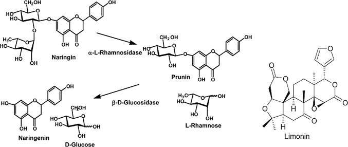 Fig. 4