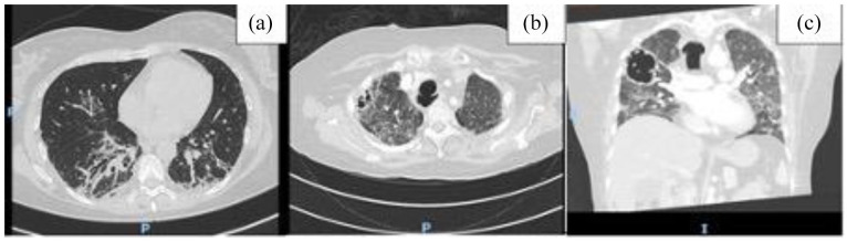 Figure 1.